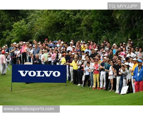 足球之夜主持人带你领略精彩赛事与球员背后的故事